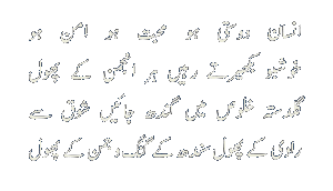 Mauqabat by Dr. Aslam Farrukhi